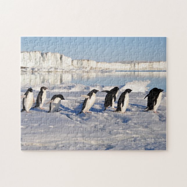 Quebra-cabeça do jogo de pinguins (Horizontal)