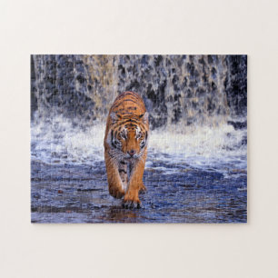 Quebra-cabeça do jogo do tigre