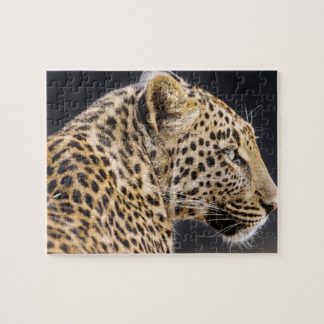 Quebra-cabeça do Jogo Leopardo (Horizontal)