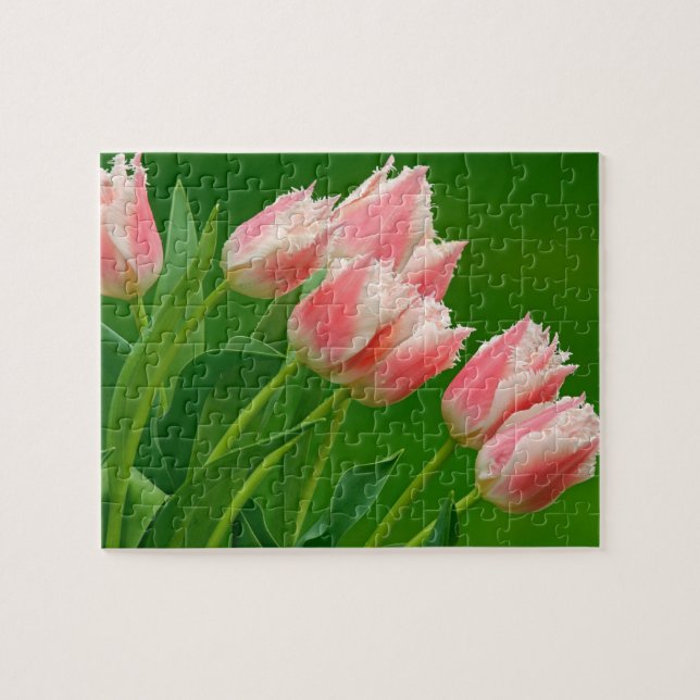 Quebra-cabeça do Jogo Tulipas Rosa (Horizontal)