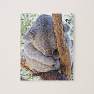Quebra-cabeça do Koala