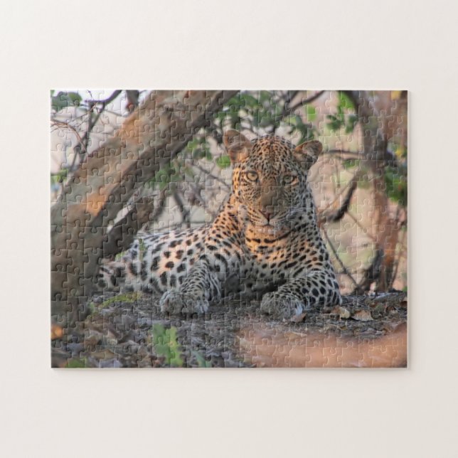 Quebra-cabeça do leopardo (Horizontal)