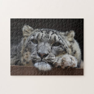 Quebra-cabeça do leopardo de neve
