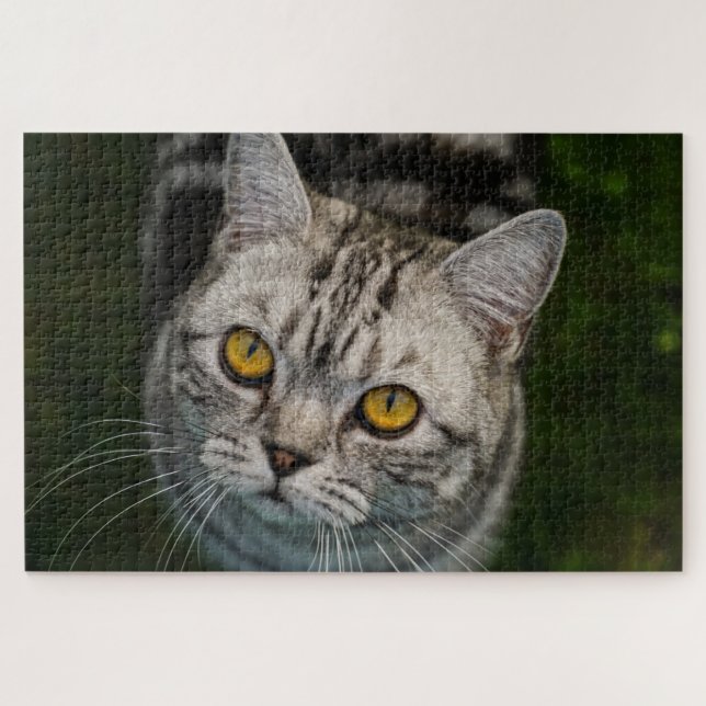Quebra-cabeça do McGonagall cat (Horizontal)