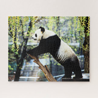 Quebra-cabeça do Panda