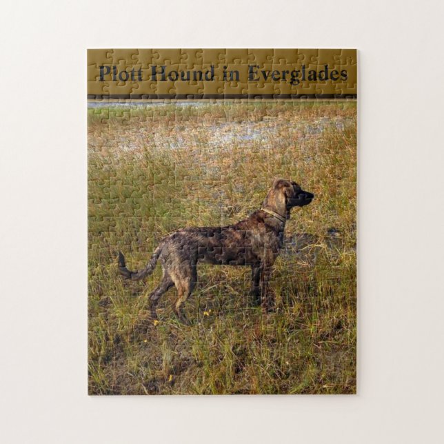 Quebra-cabeça do Plott Hound nos Everglades da Fló (Vertical)
