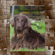 Quebra-cabeça do Pointer Alemão de Pelo Longo