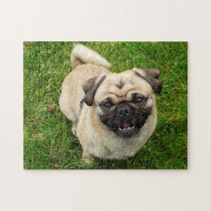 Quebra-cabeça do Pug