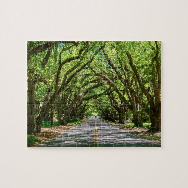 Quebra-cabeça do quebra-cabeça sul de Aiken (Horizontal)