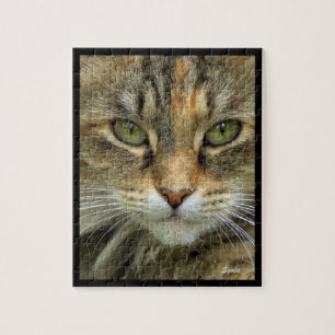 Quebra-cabeça do Retrato do Gato Listrado