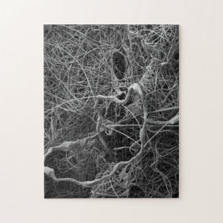 Quebra-cabeça do saco do ovo da aranha