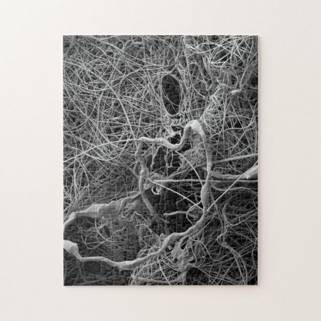 Quebra-cabeça do saco do ovo da aranha (Vertical)