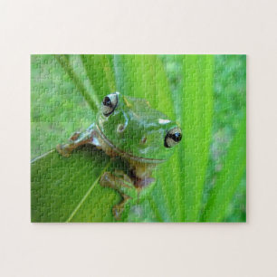 Quebra-cabeça do sapo verde