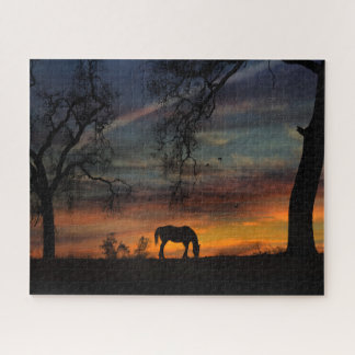 Quebra-cabeça do Sudoeste do Cavalo