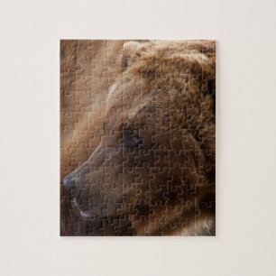 Quebra-cabeça do urso de urso