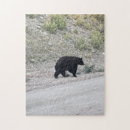 Quebra-cabeça do Urso Embaralhado