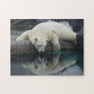 Quebra-cabeça do urso polar