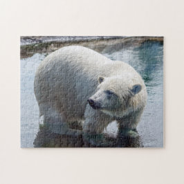 Quebra-cabeça do urso polar