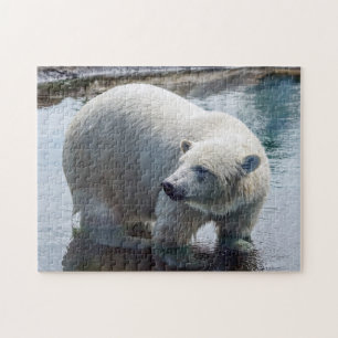 Quebra-cabeça do urso polar