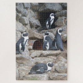 Quebra-cabeça do zoológico: Pinguins bonitos