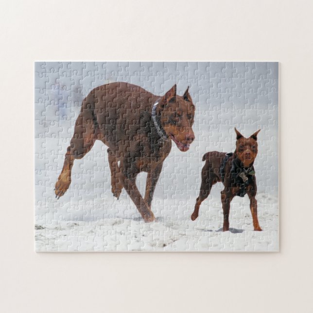 Quebra-cabeça Doberman e Pin do minuto - OLHAR! Um mini mim! (Horizontal)