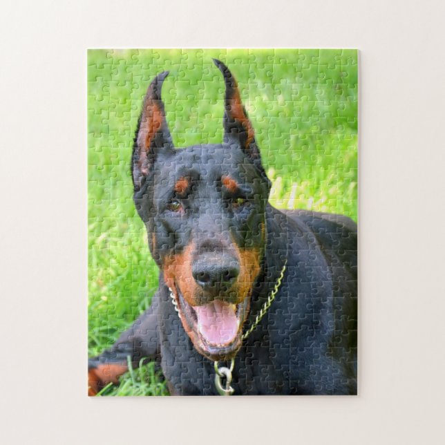Quebra-cabeça Doberman Pinscher (Vertical)