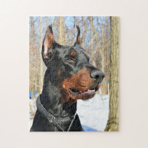 Quebra-cabeça Doberman Pinscher na neve