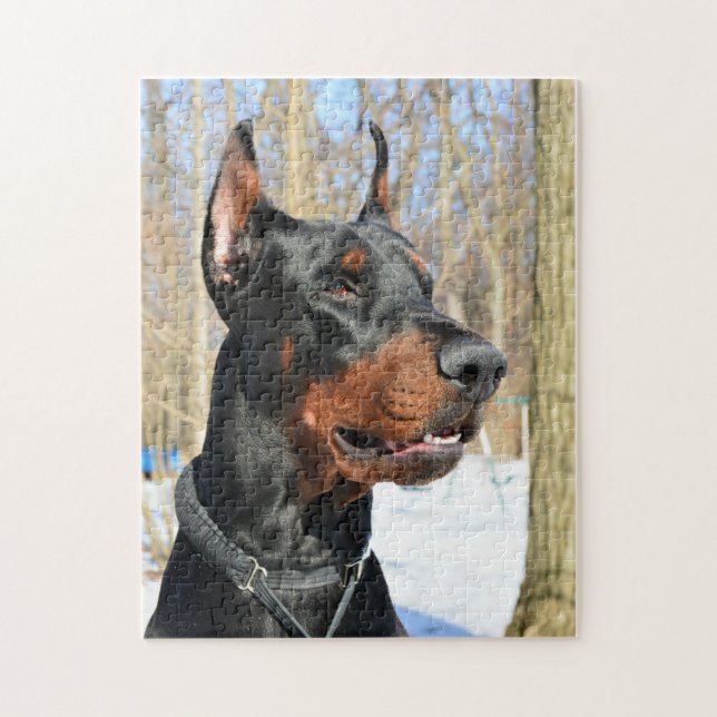 Quebra-cabeça Doberman Pinscher na neve (Vertical)