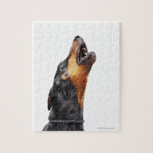 Quebra-cabeça Doberman que urra