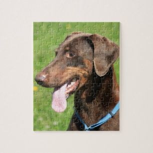 Quebra-cabeça Doberman vermelho