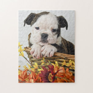 Quebra-cabeça Doce Bulldog Puppy