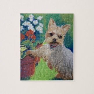 Quebra-cabeça Doçura Yorkie