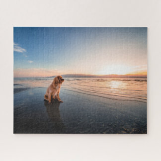 Quebra-cabeça Dog sitting on the beach