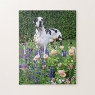 Quebra-cabeça Dogge alemão, Great Dane, Cães, Dogue Allemand