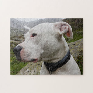 Quebra-cabeça Dogo argentino