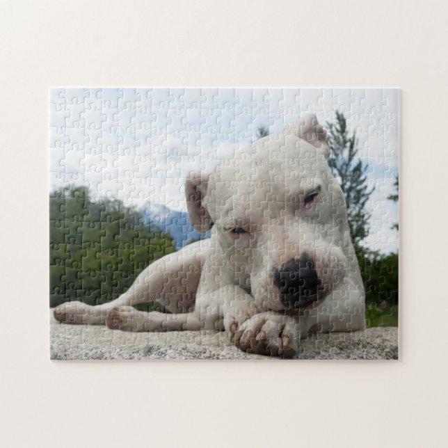 Quebra-cabeça Dogo Argentino  (Horizontal)