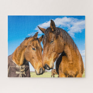 Quebra-cabeça Dois Belos Cavalos