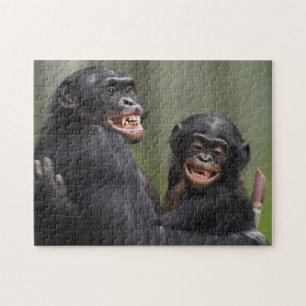 Quebra-cabeça Dois Bonobos de sorriso