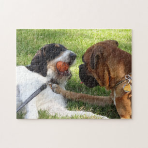 Quebra-cabeça dois cachorros jogando