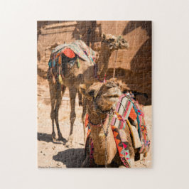 Quebra-cabeça Dois Camelos Egito