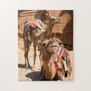 Quebra-cabeça Dois Camelos no Egito
