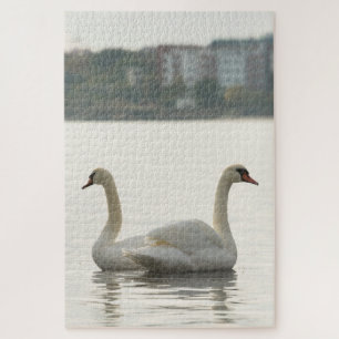 Quebra-cabeça Dois cisnes