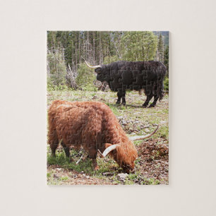Quebra-cabeça Dois gado das montanhas, Scotland