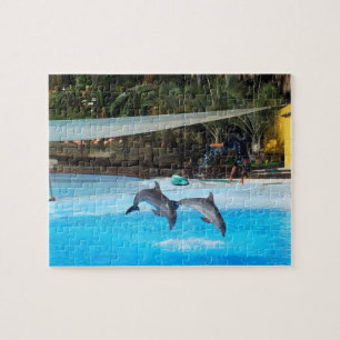 Quebra-cabeça Dois golfinhos
