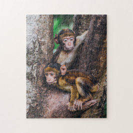 Quebra-cabeça Dois macacos na floresta de macacos-árvore