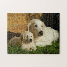 Quebra-cabeça Dois Ouros - Mãe e Puppy - Amor