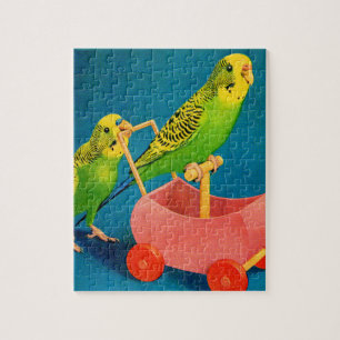 Quebra-cabeça dois parakeets