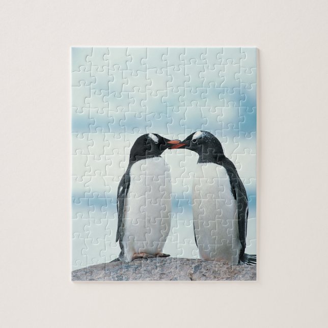 Quebra-cabeça Dois pinguins tocando bicos (Vertical)