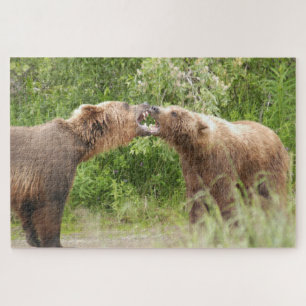Quebra-cabeça Dois ursos a lutar em Katmai NP