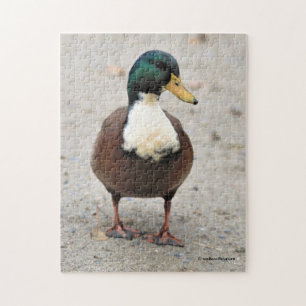 Quebra-cabeça Domestic Mallard Duclair Bibbed Odd Duck